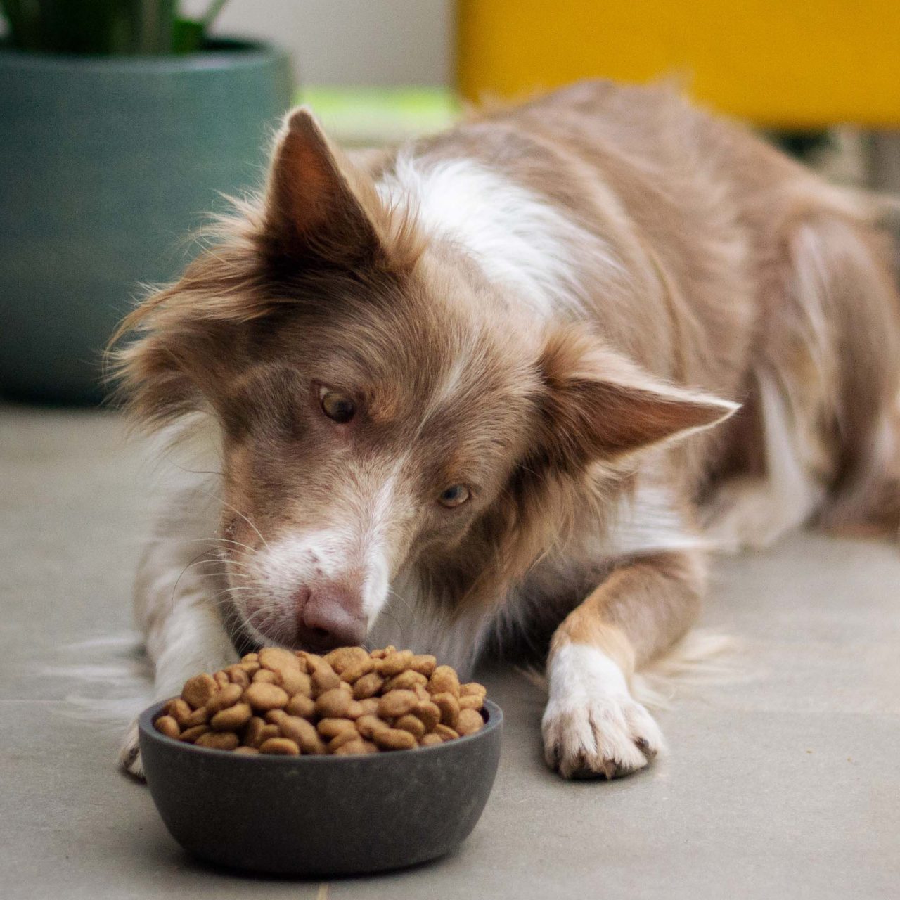 ayla-verschueren-QIbjKOsmIhQ-unsplash